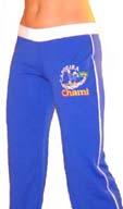 ACERModelFront